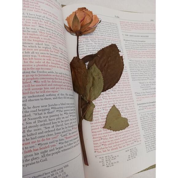 Heirloom Bible with PRESSED ROSE INSIDE! DRIED LONG STEM 1980s VNTG - Picture 6 of 16